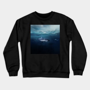 Below Crewneck Sweatshirt